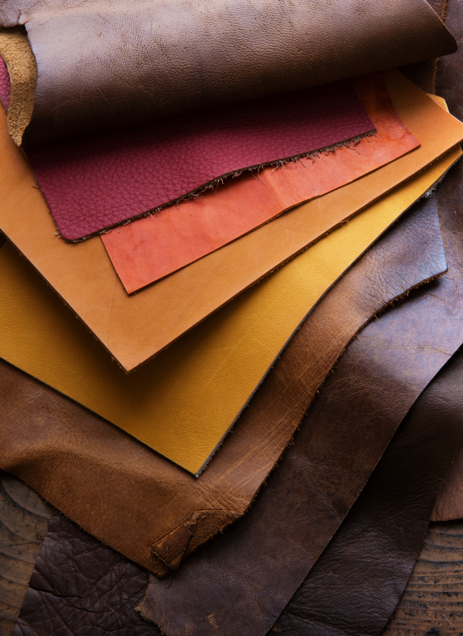 Plusieurs types de cuir